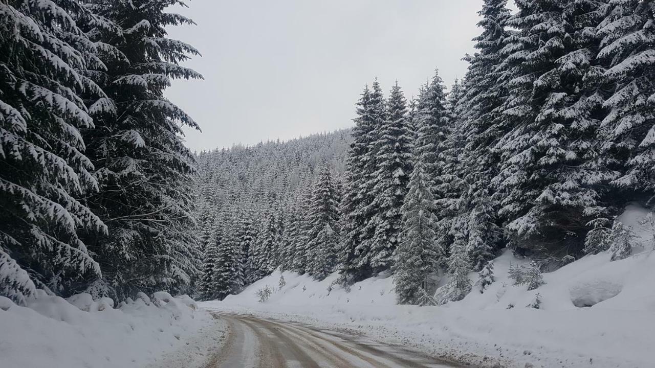 Near Center Διαμέρισμα Petroşani Εξωτερικό φωτογραφία