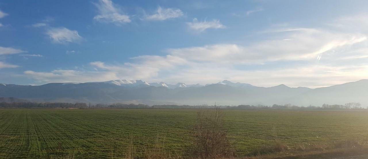 Near Center Διαμέρισμα Petroşani Εξωτερικό φωτογραφία