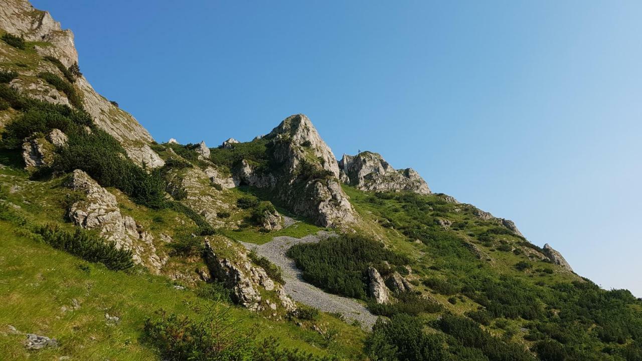 Near Center Διαμέρισμα Petroşani Εξωτερικό φωτογραφία